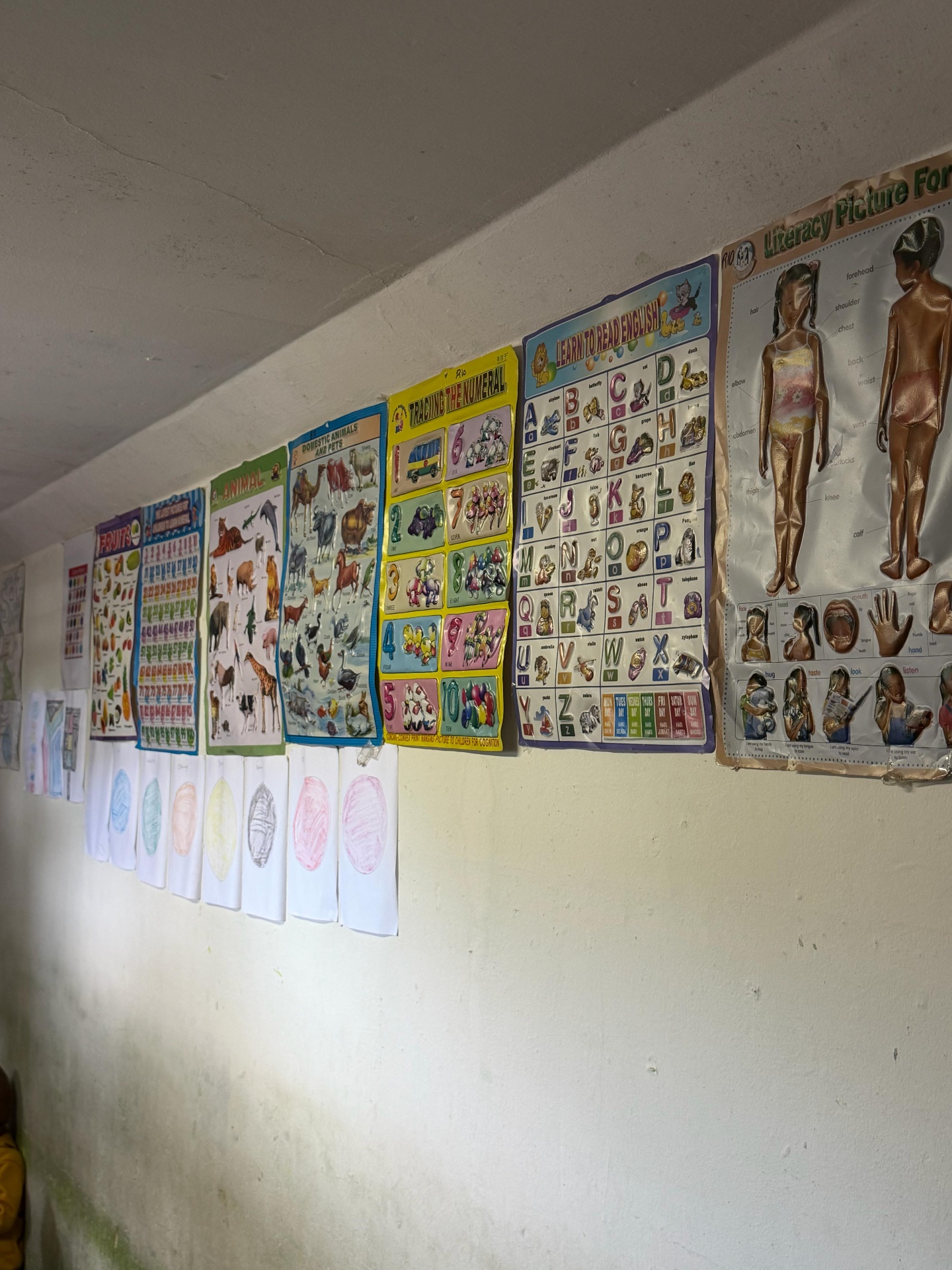 Posters available in the classroom
